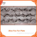 Blue Fox Fur Plate